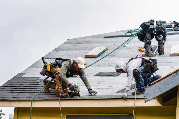Professional Gutter Installation technician working in Bellingham, WA